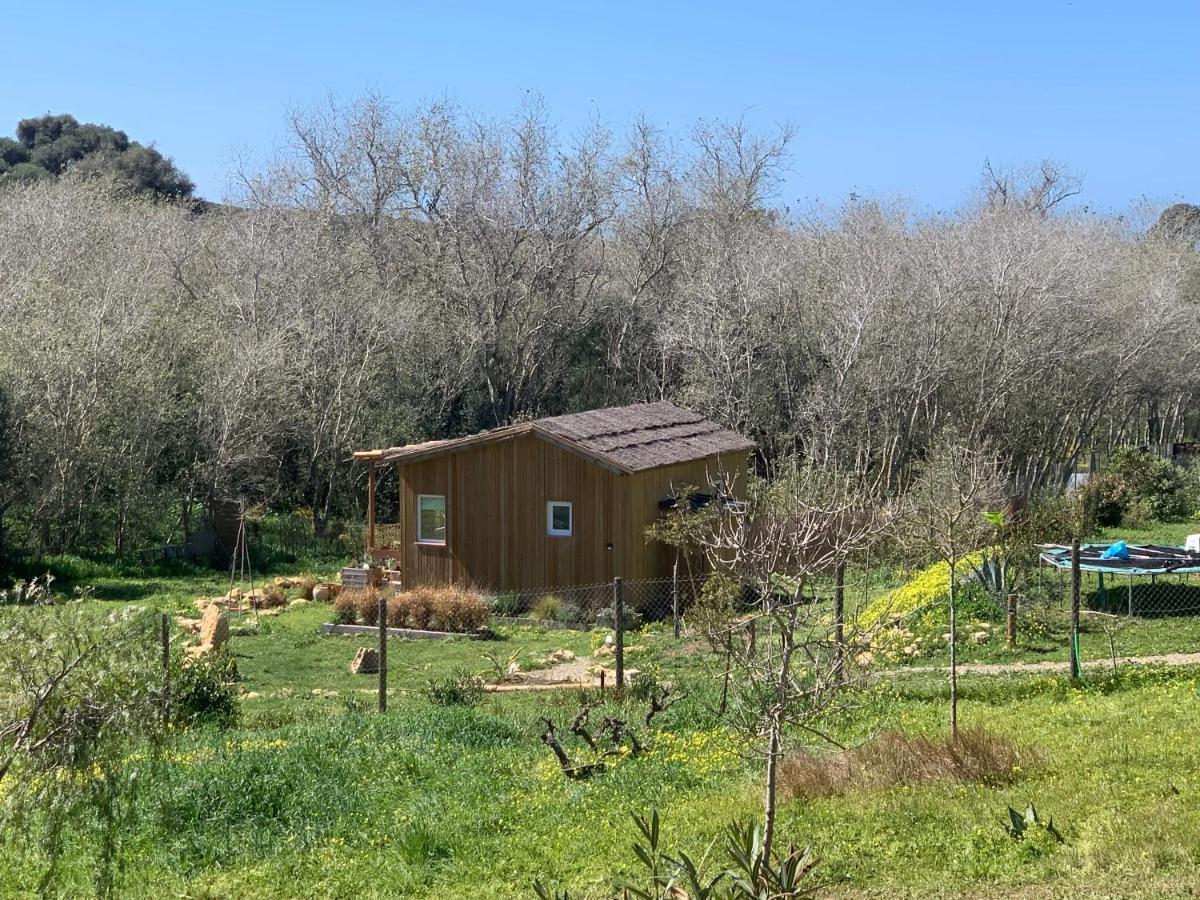 Cabana Casaotto Los Canos De Meca Ngoại thất bức ảnh